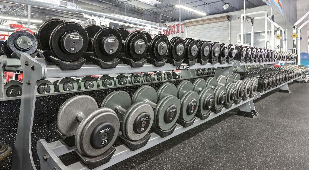 Deezel Muscle | 2120 E 6th St #4, Tempe, AZ 85281, USA | Phone: (480) 225-5427