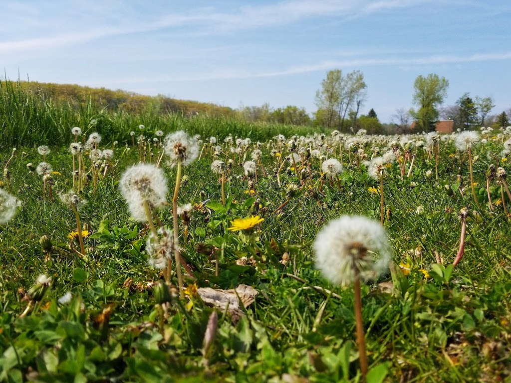 Nojoshing Trail | Nojoshing Trail, St Francis, WI 53235, USA | Phone: (414) 481-2300