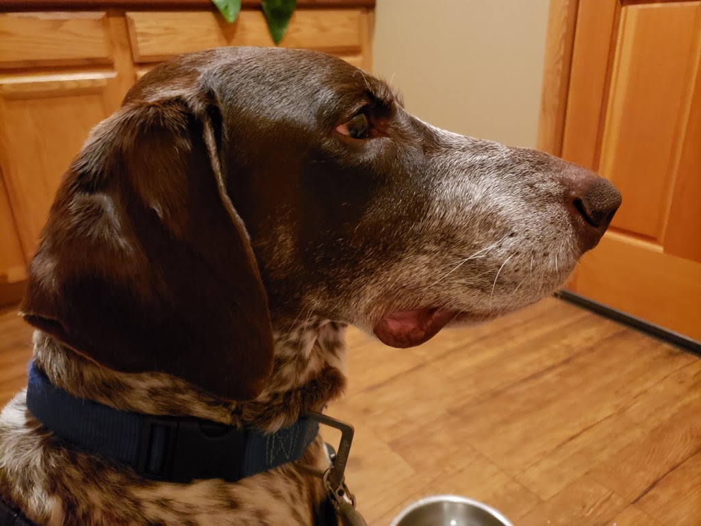 Big Valley Veterinary Services | 25297 Big Valley Rd NE, Poulsbo, WA 98370, USA | Phone: (360) 697-1650 Big Valley Veterinary Services | 25297 Big Valley Rd NE, Poulsbo, WA 98370, USA | Phone: (360) 697-1650