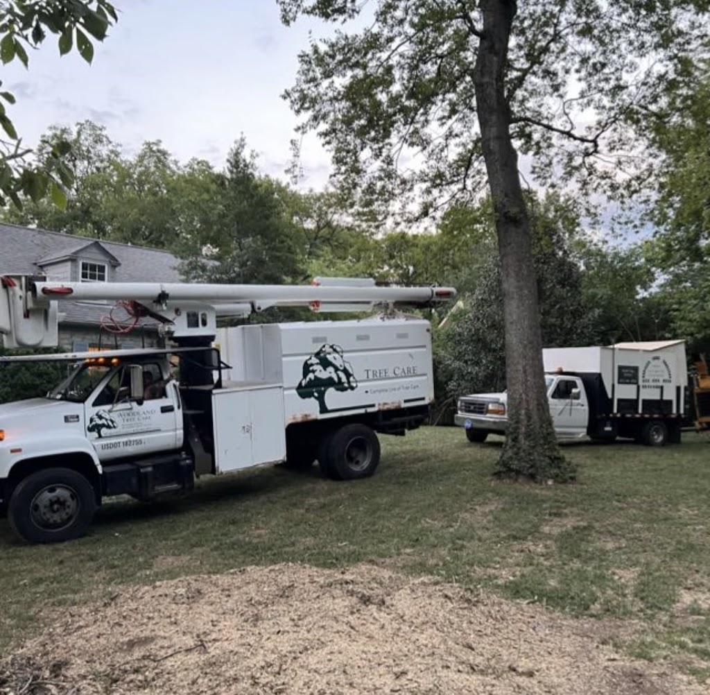 Badillos Tree Service | 825 Castle Heights Ave, Lebanon, TN 37087, USA | Phone: (615) 582-1139