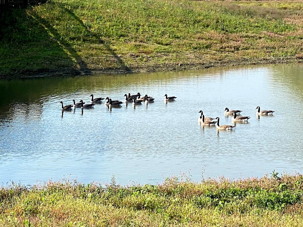 Buffalo Creek Reservoir | 18163 Checker Rd, Long Grove, IL 60047, USA | Phone: (847) 850-2100