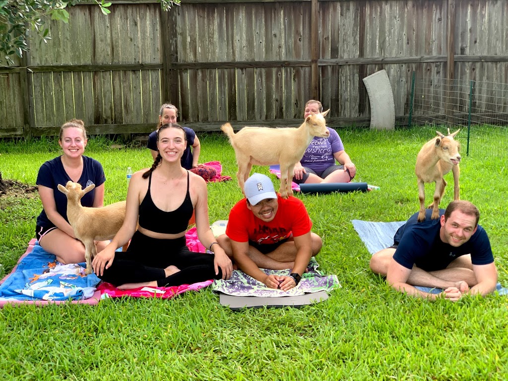 Goat Yoga Houston | 7730 Bailey Rd, Pearland, TX 77584, USA | Phone: (713) 578-0068