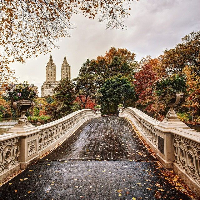 Bow Bridge | Bow Bridge, Central Park, New York, NY 10024, USA | Phone: (212) 310-6600