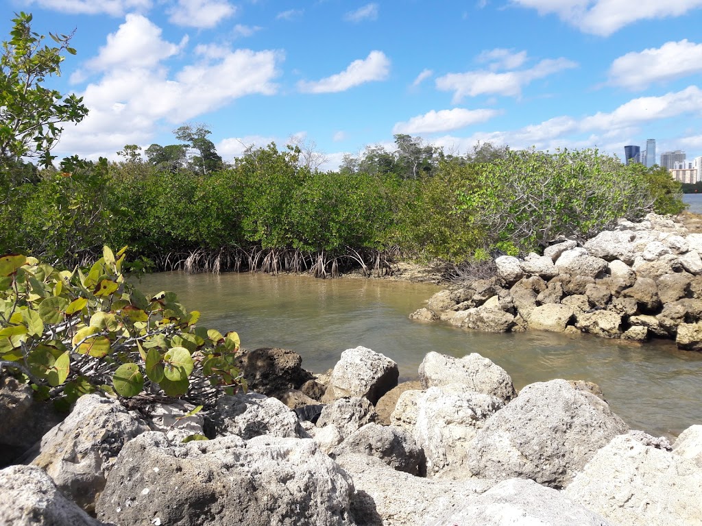 Oleta River State Park Alligator Pavilion | 3400 NE 163rd St, North Miami Beach, FL 33160, USA | Phone: (305) 919-1846