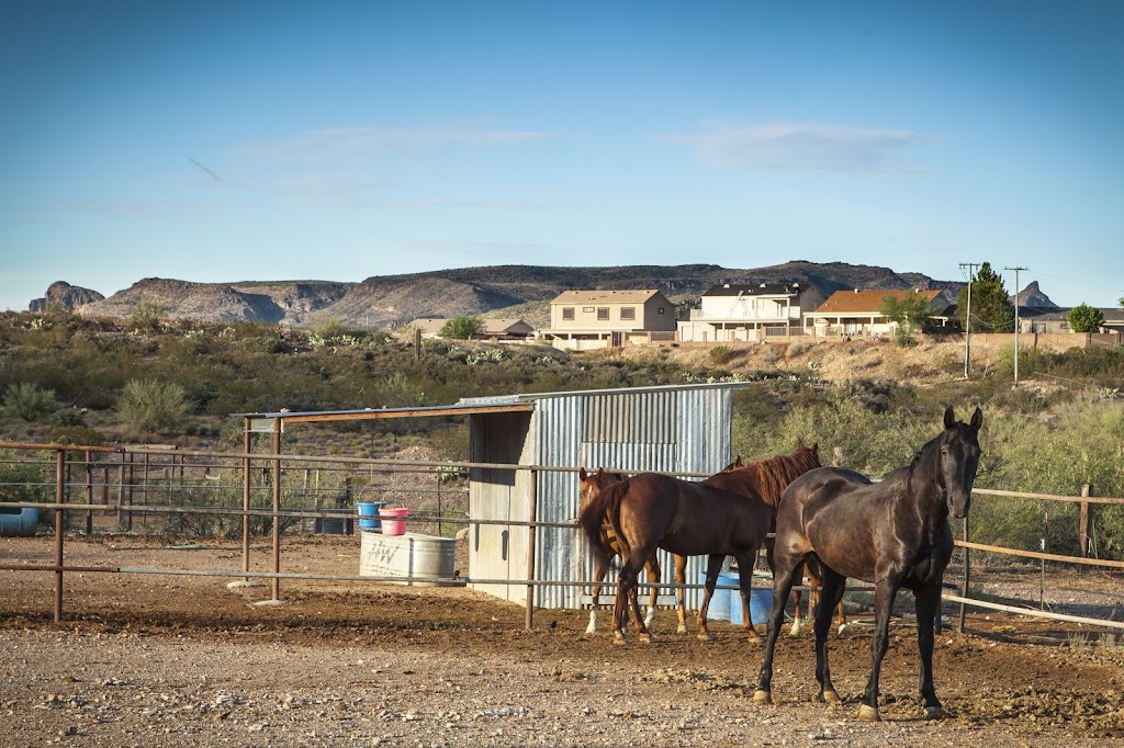 Box 8 Ranch | 226 S Smith Dr, Superior, AZ 85173, USA | Phone: (602) 689-1104