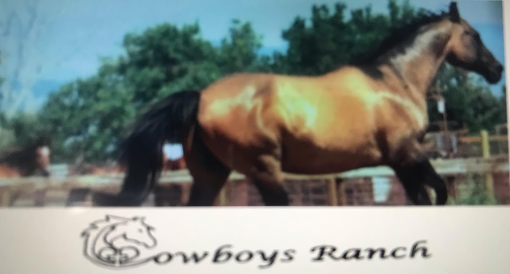 Cowboys Ranch | 660 Treys Creek Rd, Floresville, TX 78114, USA | Phone: (720) 937-5808