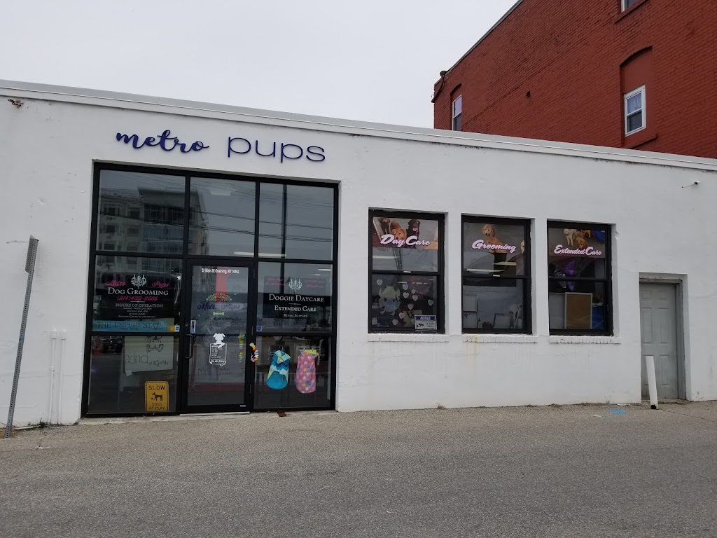 Metro Pups | 27A Main St, Ossining, NY 10562, USA | Phone: (914) 432-2565