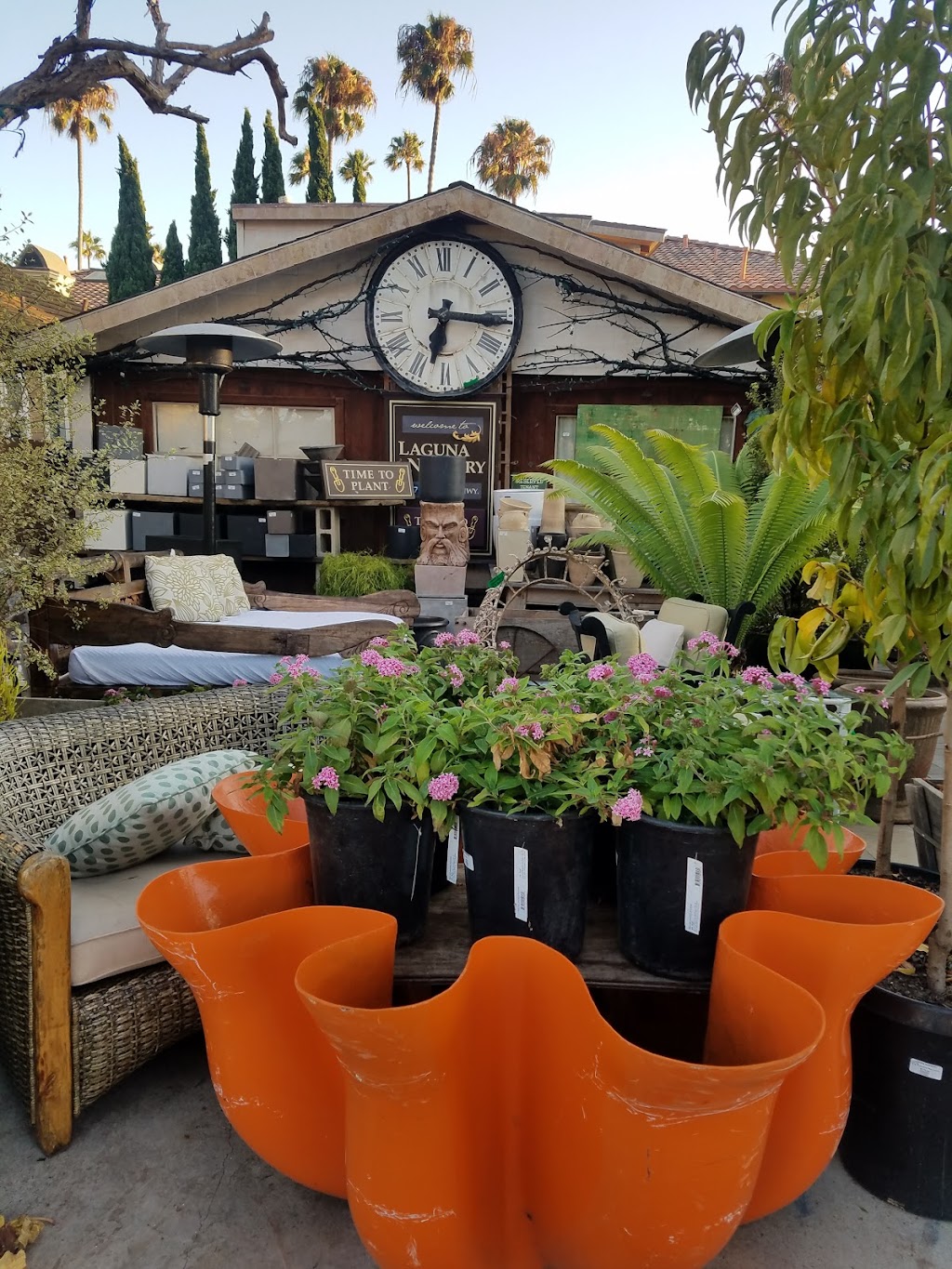 Laguna Nursery | 481 N Coast Hwy, Laguna Beach, CA 92651 | Phone: (949) 494-5200