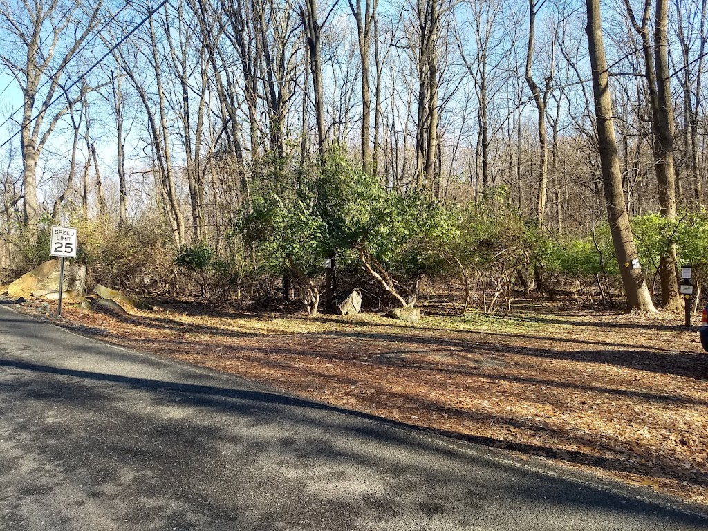 Natural Lands Meng Preserve | 226 Mine Hill Rd, Schwenksville, PA 19473, USA | Phone: (610) 353-5587