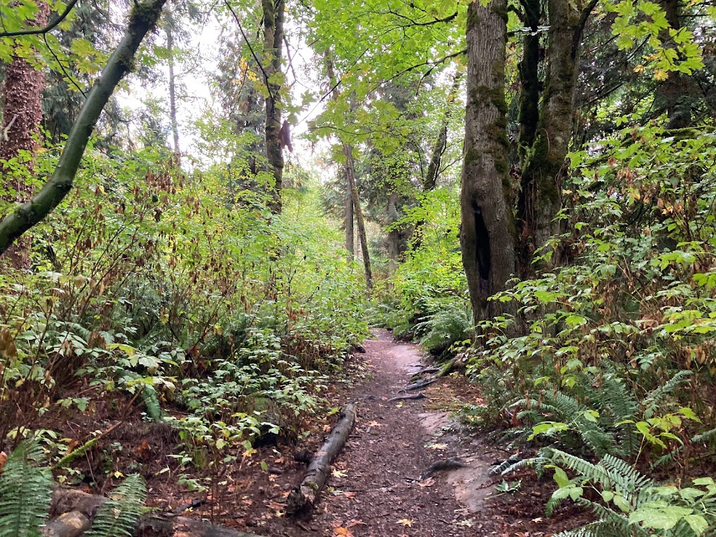 Edith Moulton Off Leash Area | 13634 108th Ave NE, Kirkland, WA 98034, USA | Phone: (425) 587-3300