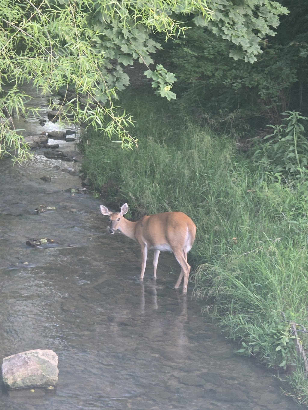 Clear Creek Park | 1201 W Main St, Richmond, IN 47374, USA | Phone: (765) 983-7275