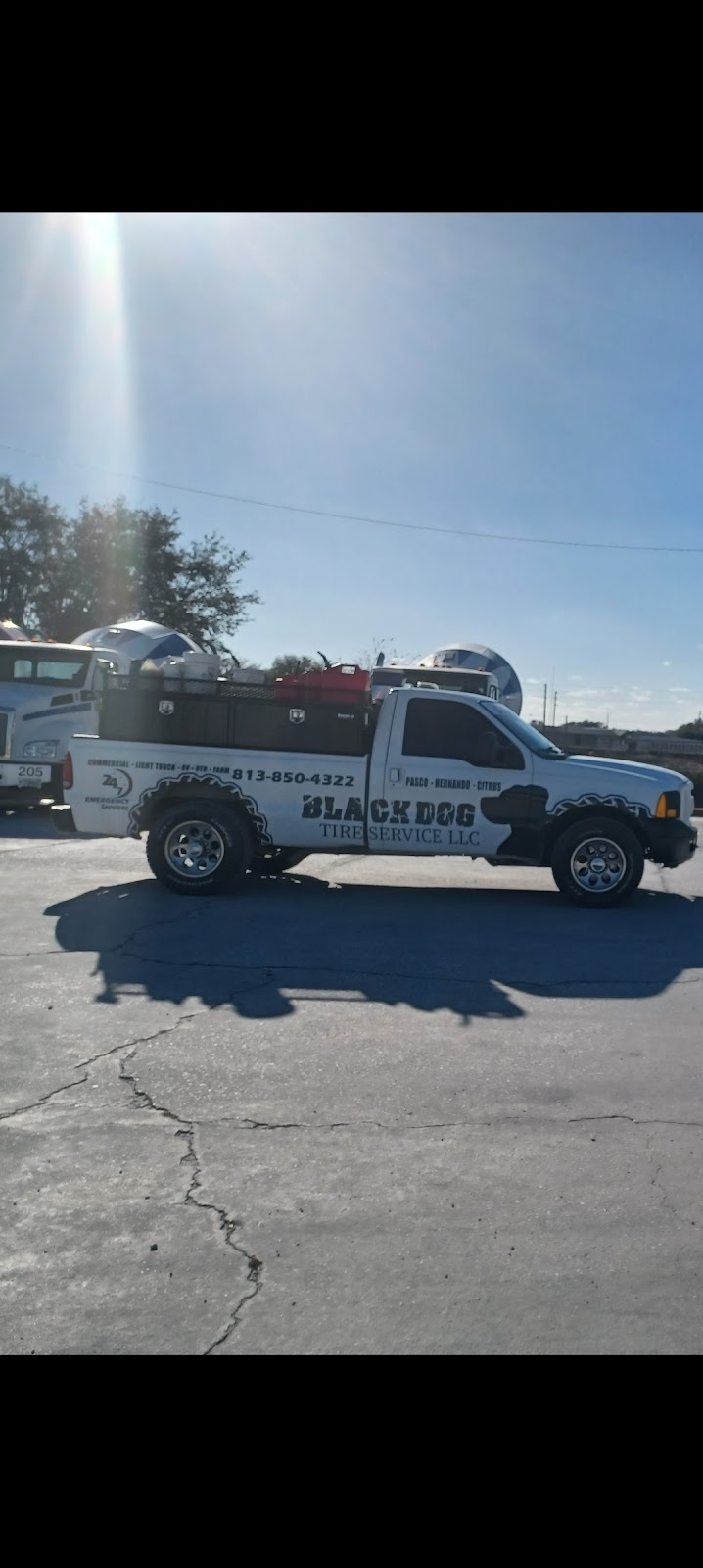 Black Dog Tire Service | 15129 US-19, Hudson, FL 34667, USA | Phone: (813) 850-4322