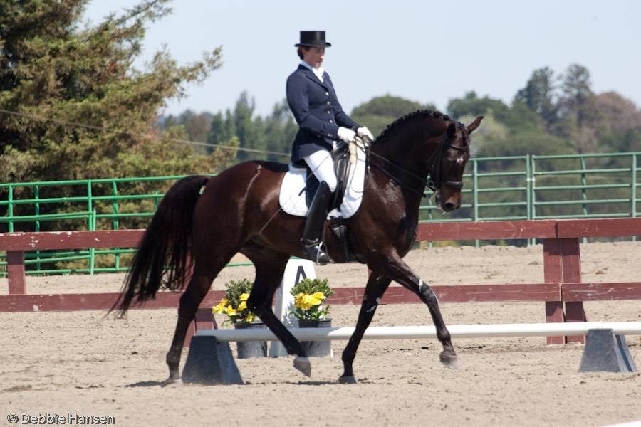 AP Dressage | 13113 200th St SE, Snohomish, WA 98296, USA | Phone: (360) 453-7196