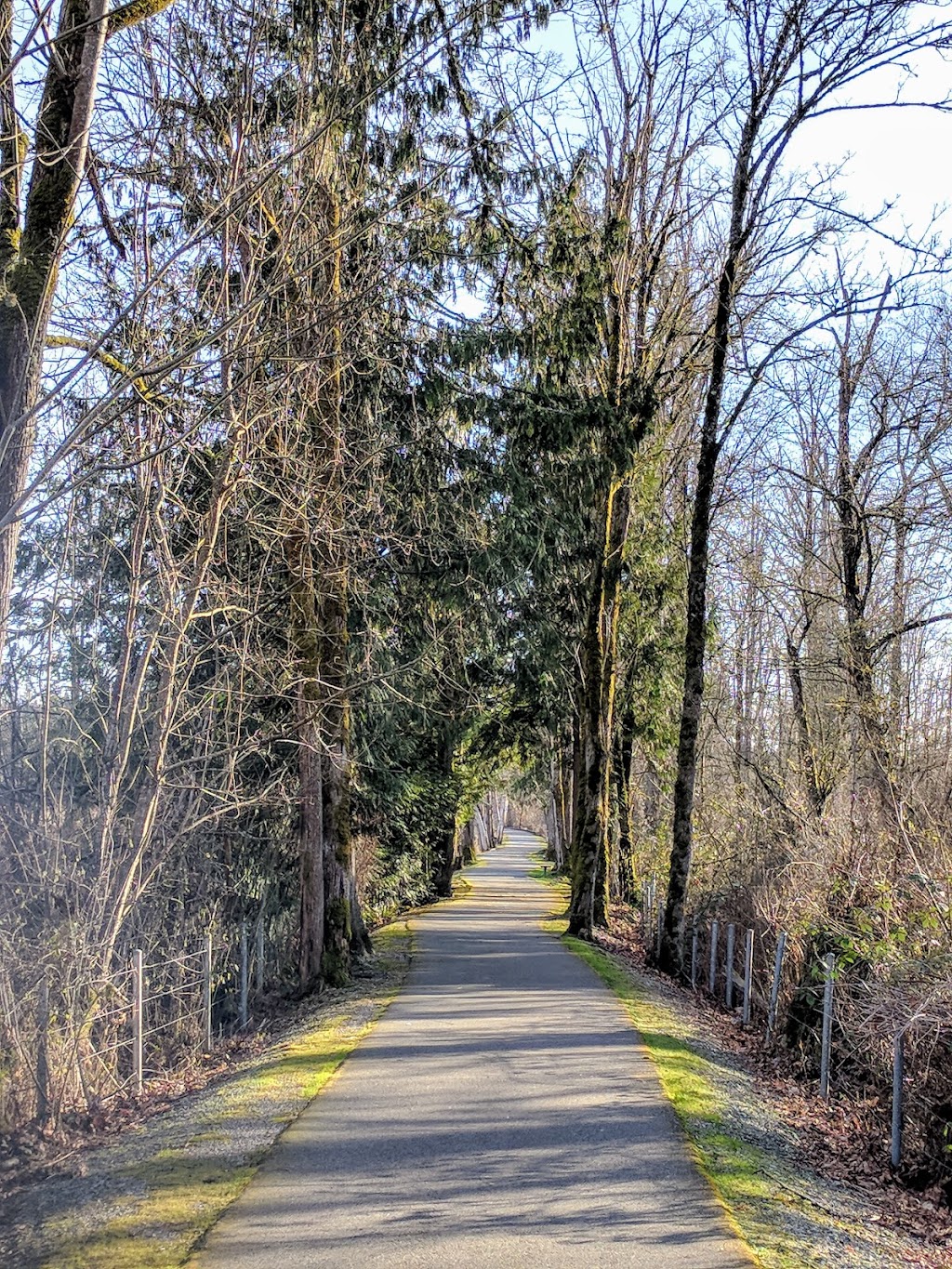 Bear Creek Park | Evans Creek Trail, Redmond, WA 98053, USA | Phone: (425) 556-2900