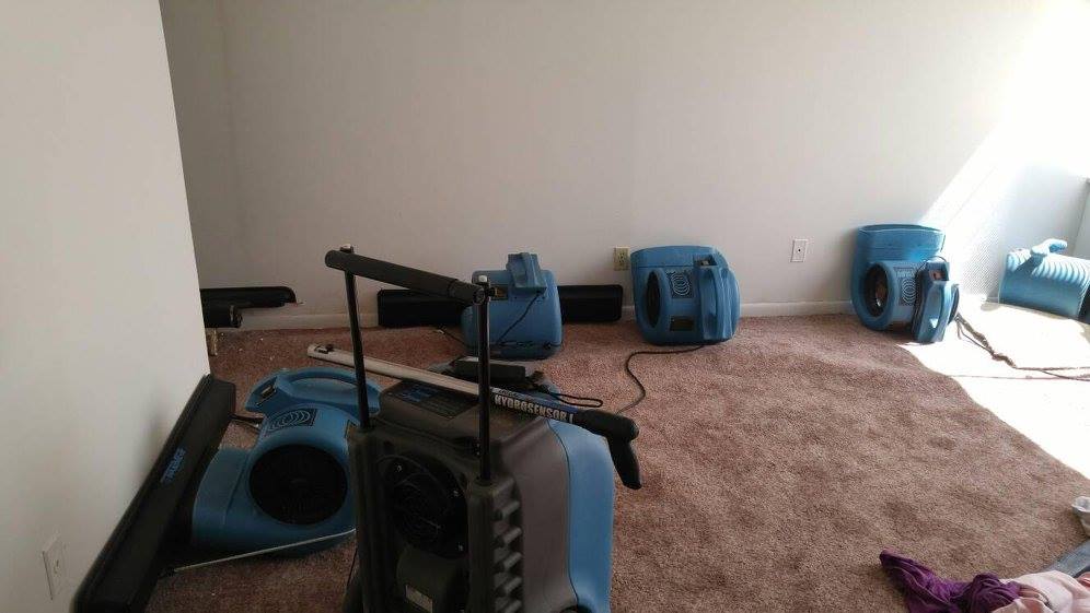 Pro Master Carpet Care | 6716 Wood St, Goshen, OH 45122, USA | Phone: (513) 575-5510