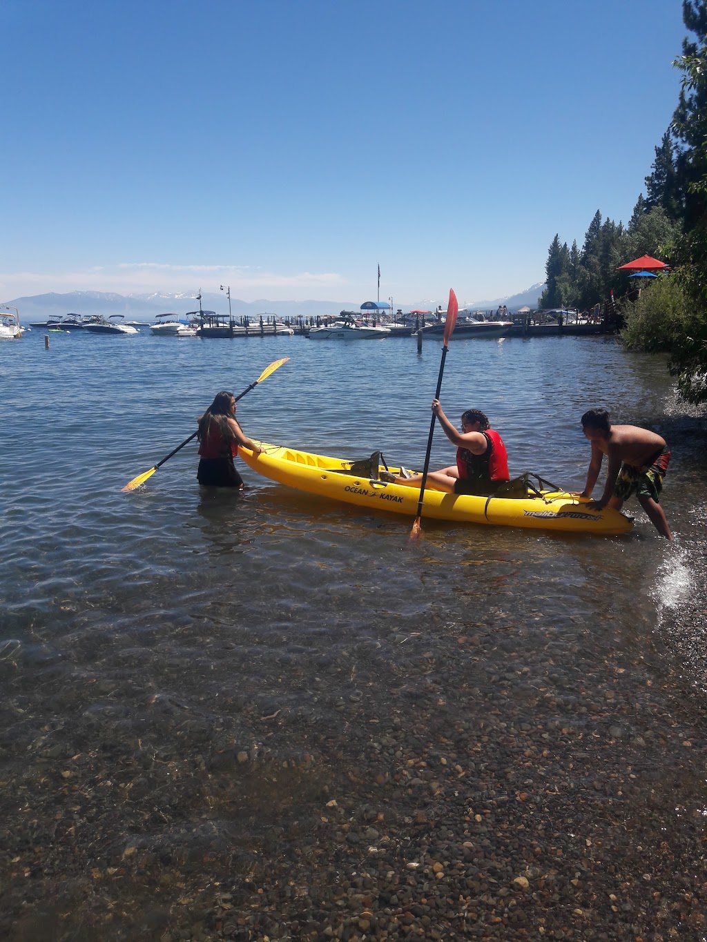 William Kent Campground | 1995 W Lake Blvd, Tahoe City, CA 96145, USA | Phone: (530) 583-3642