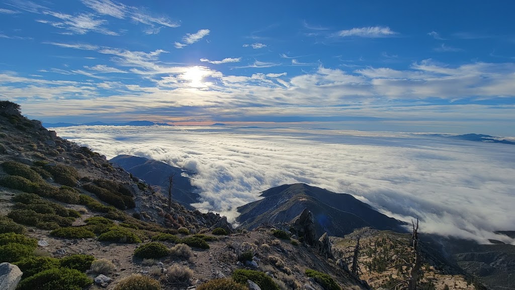 Cucamonga Wilderness | W Cucamonga Truck Trail, Lytle Creek, CA 92358, USA | Phone: (909) 382-2851