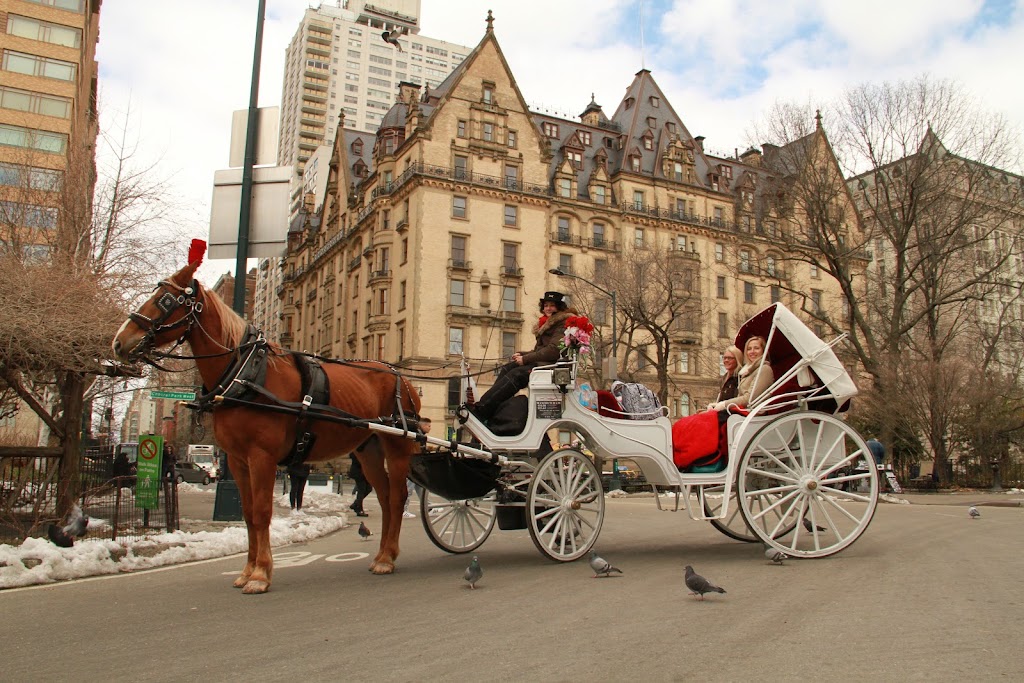 NYC Horse Carriage Rides™ EST.1979 | 7th Ave & West 59th Street, Central Park S, New York, NY 10019, USA | Phone: (516) 606-6212