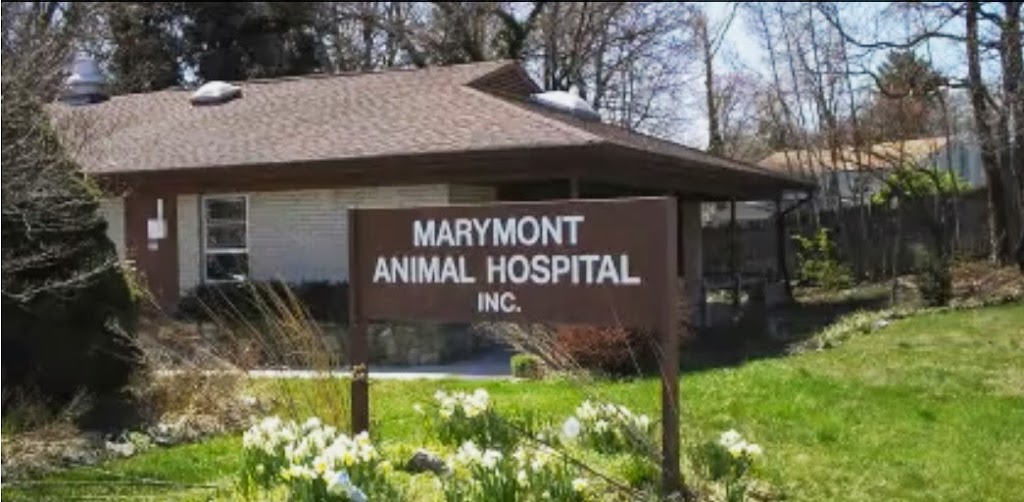 Marymont Animal Hospital Inc | 24 Randolph Rd, Silver Spring, MD 20904, USA | Phone: (301) 384-1223