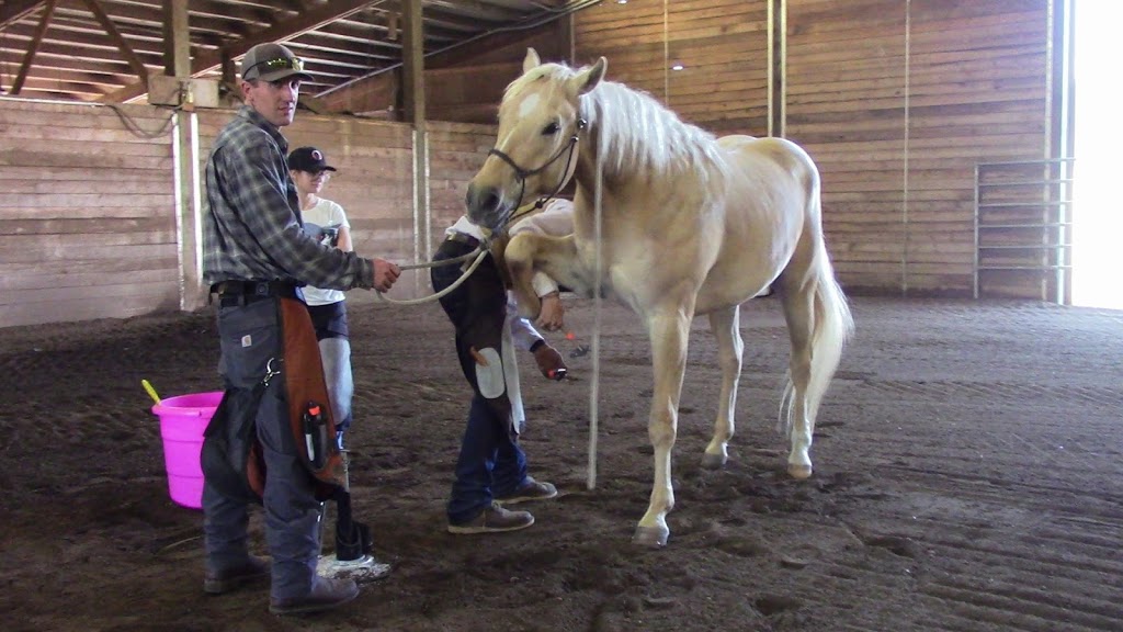 Mission Farrier School | 17028 Trombley Rd, Snohomish, WA 98290, USA | Phone: (425) 890-3043