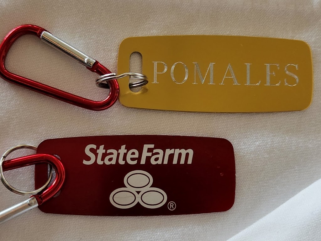 Jose Pomales - State Farm Insurance Agent | 21319 Coakley Ln, Land O Lakes, FL 34639, USA | Phone: (813) 527-9605