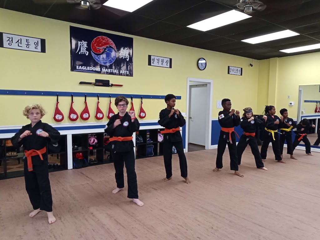 Eagledove Martial Arts | 10030 Callabridge Ct, Charlotte, NC 28216, USA | Phone: (704) 909-7987