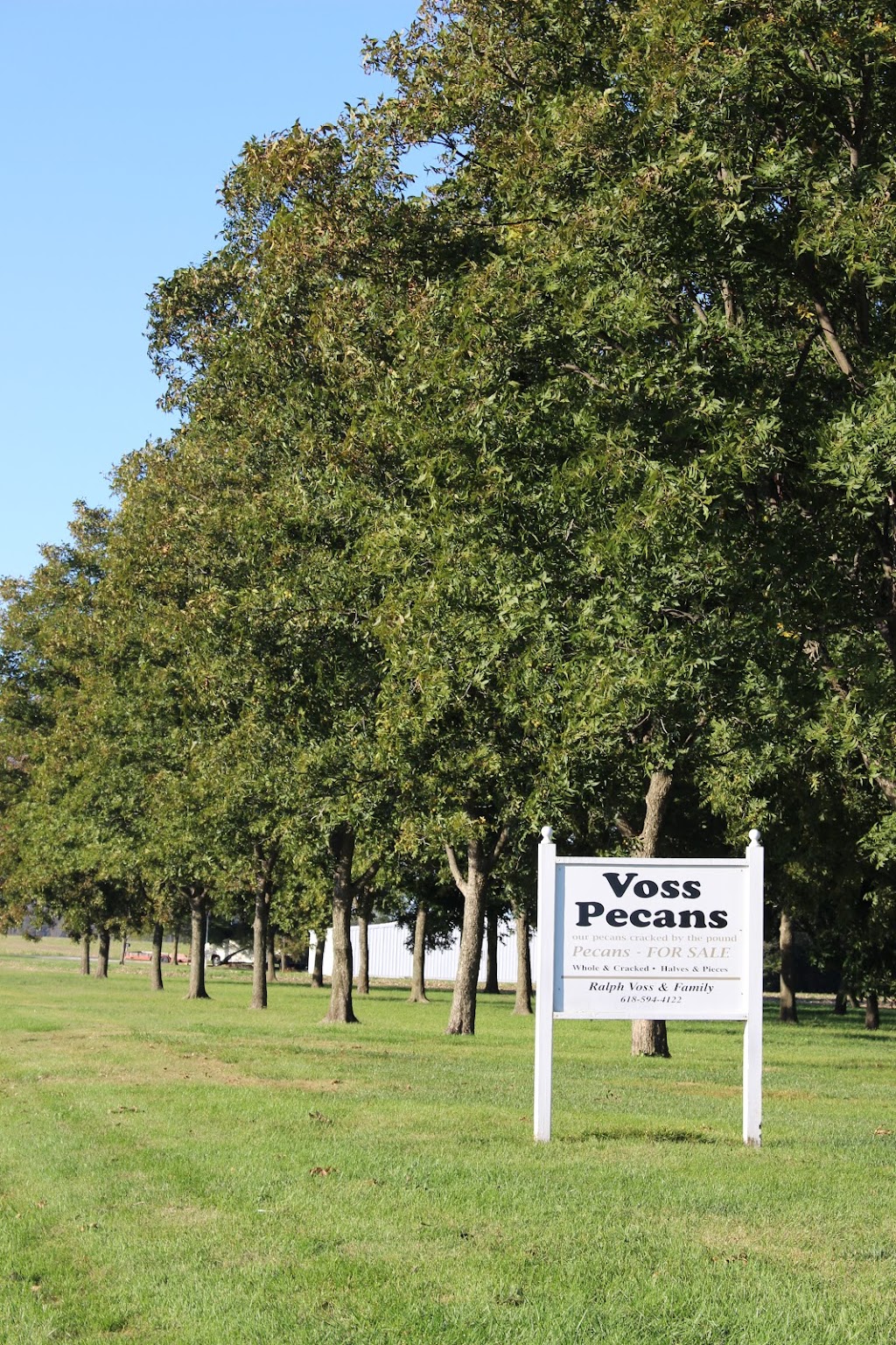 Voss Pecans | 10101 Slant Rd, Carlyle, IL 62231, USA | Phone: (618) 594-4122