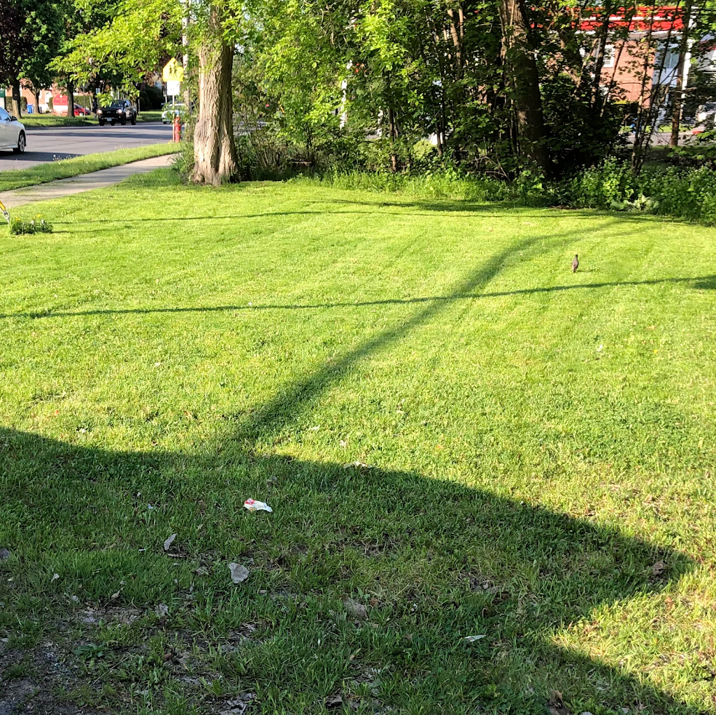 JOB Lawn Care and Mobile Detailing, LLC | 64 Emmet St, Albany, NY 12204 | Phone: (518) 212-9751