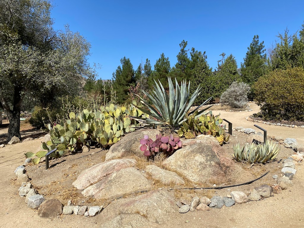 Cesar E. Chavez National Monument | 29700 Woodford-Tehachapi Rd, Keene, CA 93531, USA | Phone: (661) 823-6134