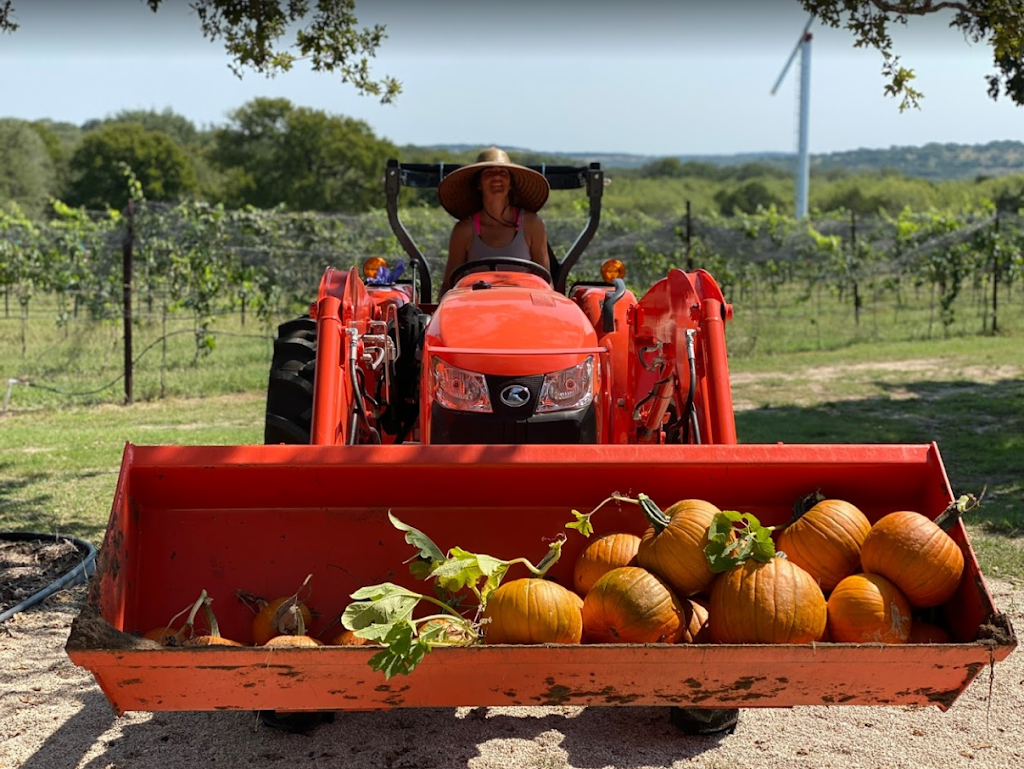 Hamilton Pool Vineyards | 25711 Hamilton Pool Rd, Dripping Springs, TX 78663, USA | Phone: (512) 400-4173