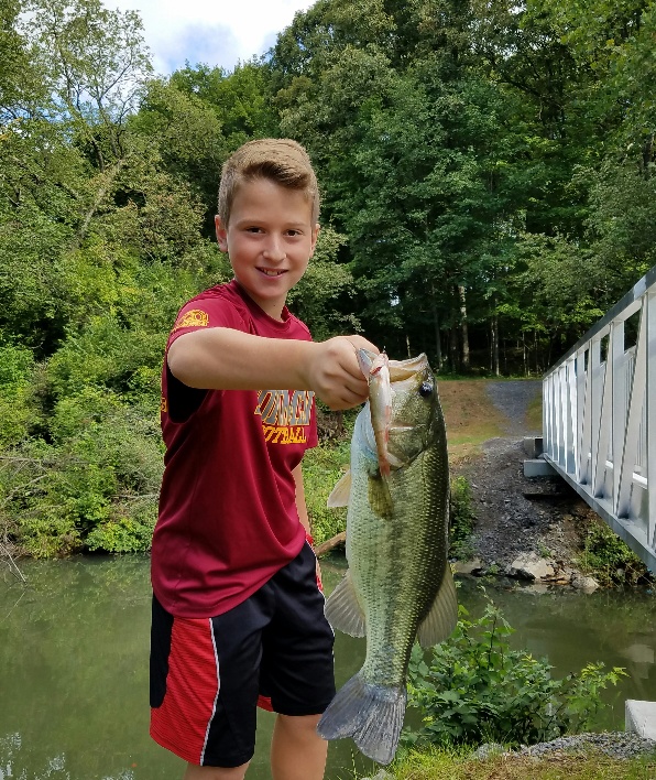 Owlet Gift Shop at McDanels Launch Area | 118 N Shore Dr, Portersville, PA 16051, USA | Phone: (724) 368-9185