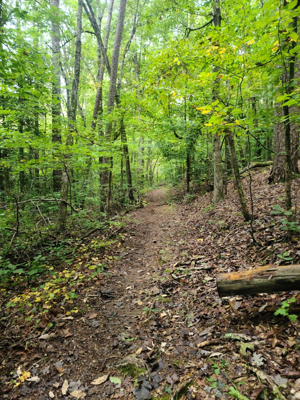 Birkhead Mountains Wilderness | Asheboro, NC 27205, USA | Phone: (828) 257-4200