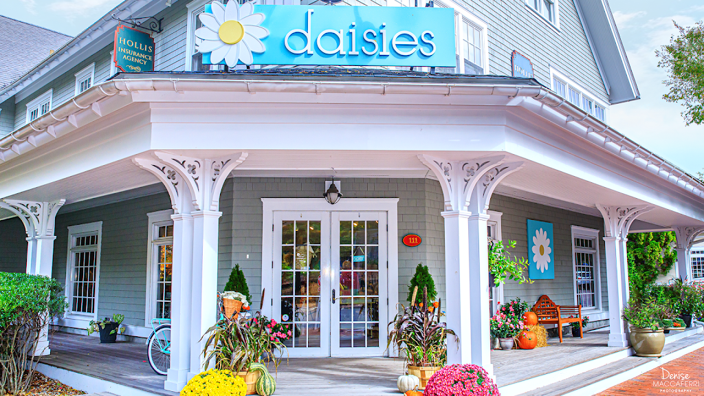 Daisies | 1 Village Green N #111, Plymouth, MA 02360, USA | Phone: (774) 608-7749