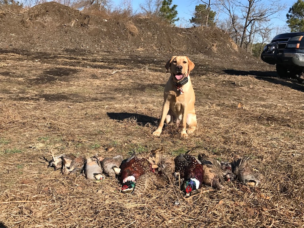 Anderson Creek Hunting Preserve | 1299 Farrar Dairy Rd, Lillington, NC 27546, USA | Phone: (910) 578-6613