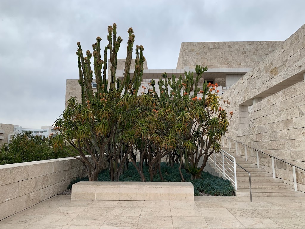 Cactus Garden | The Getty Center, 1200 Getty Center Dr, Los Angeles, CA 90049, USA | Phone: (310) 440-7300