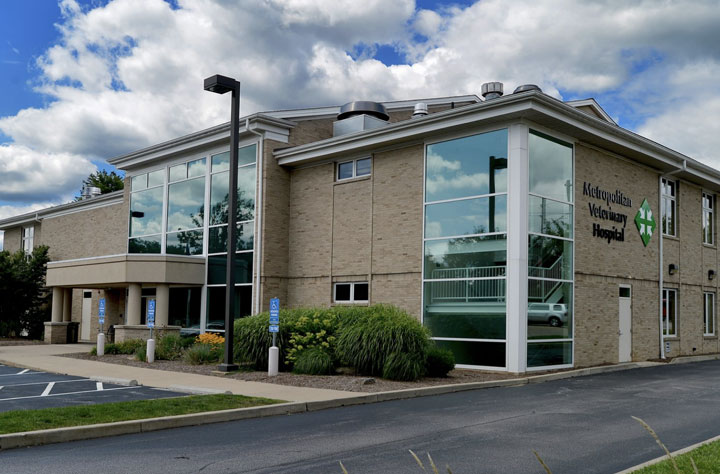 Metropolitan Veterinary Hospital Akron | 1053 S Cleveland Massillon Rd, Copley, OH 44321, USA | Phone: (330) 666-2976