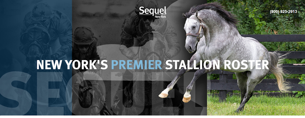 Sequel Stallions | 167 Maple Ln, Hudson, NY 12534, USA | Phone: (800) 925-2913