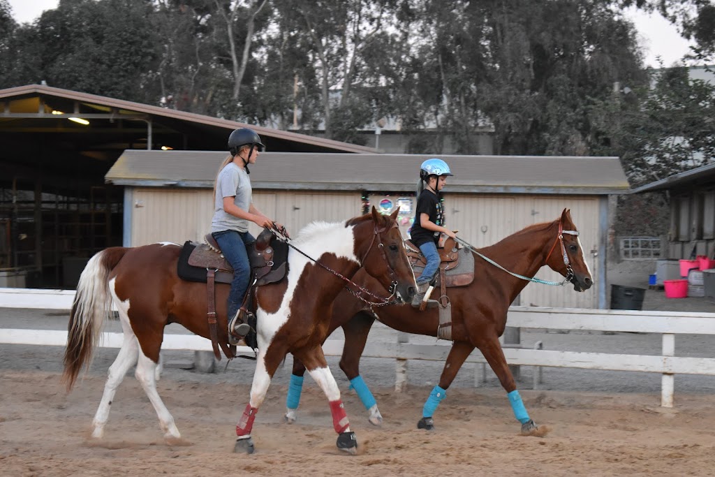 MKO Performance Horses | 25200 Trabuco Rd, Lake Forest, CA 92630, USA | Phone: (949) 750-4700