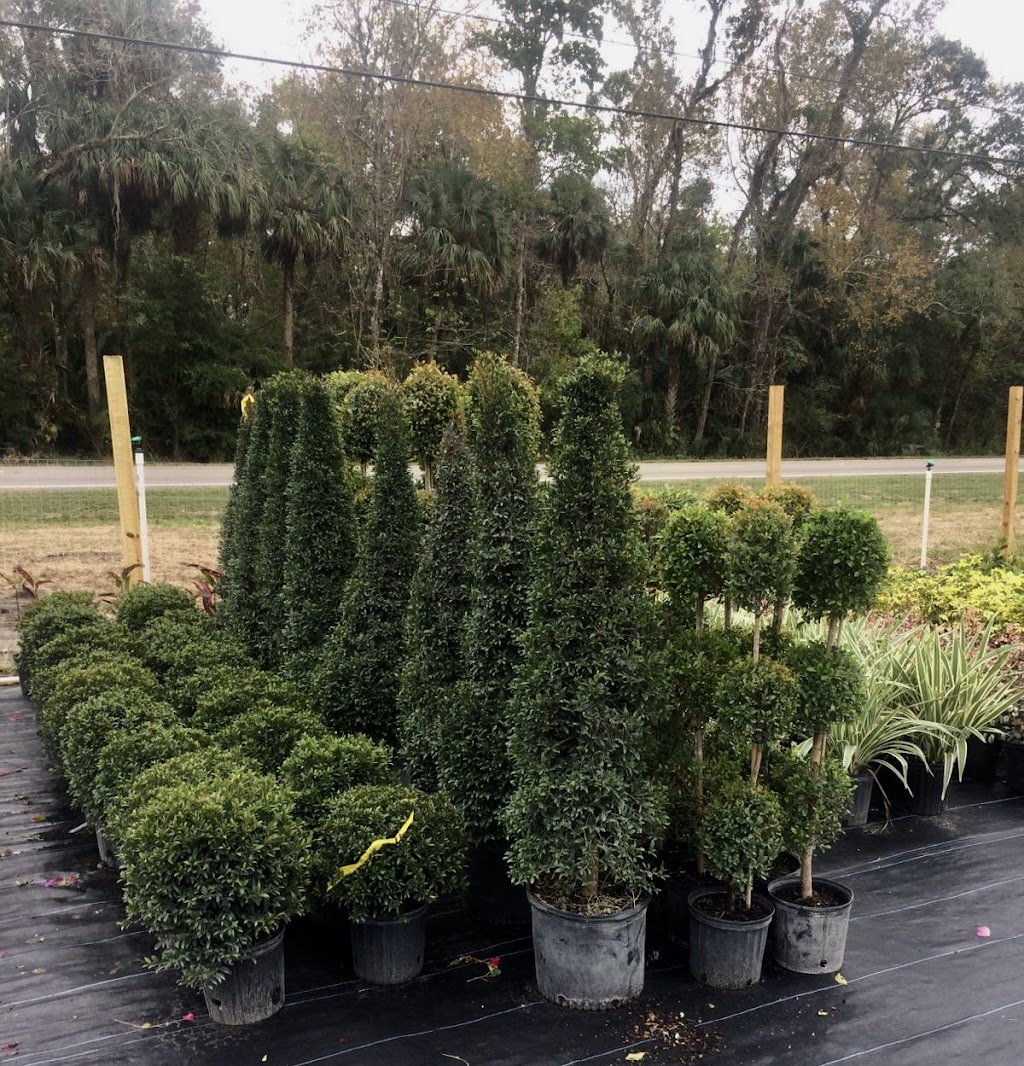 Ebenezer nursery & Landscaping services | 6635 S Orange Blossom Trail, Davenport, FL 33896 | Phone: (786) 402-0120