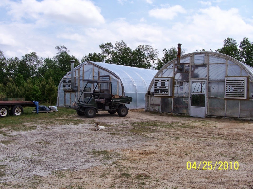 Cox Farm Produce | 547 Dobbersville Rd, Goldsboro, NC 27530, USA | Phone: (919) 689-9383