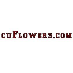 University Flower Shop | 254 W 10th Ave, Columbus, OH 43201, United States | Phone: (614) 421-1600