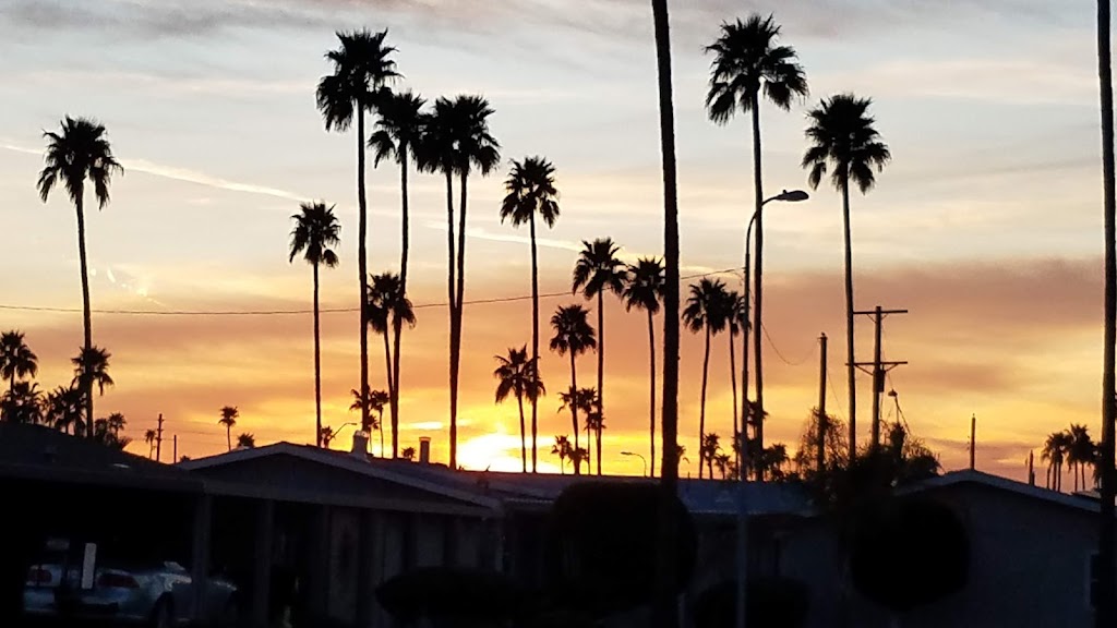 Palm Gardens 55+ Manufactured Housing Community & RV Resort | 2929 E Main St, Mesa, AZ 85213, USA | Phone: (480) 832-0290