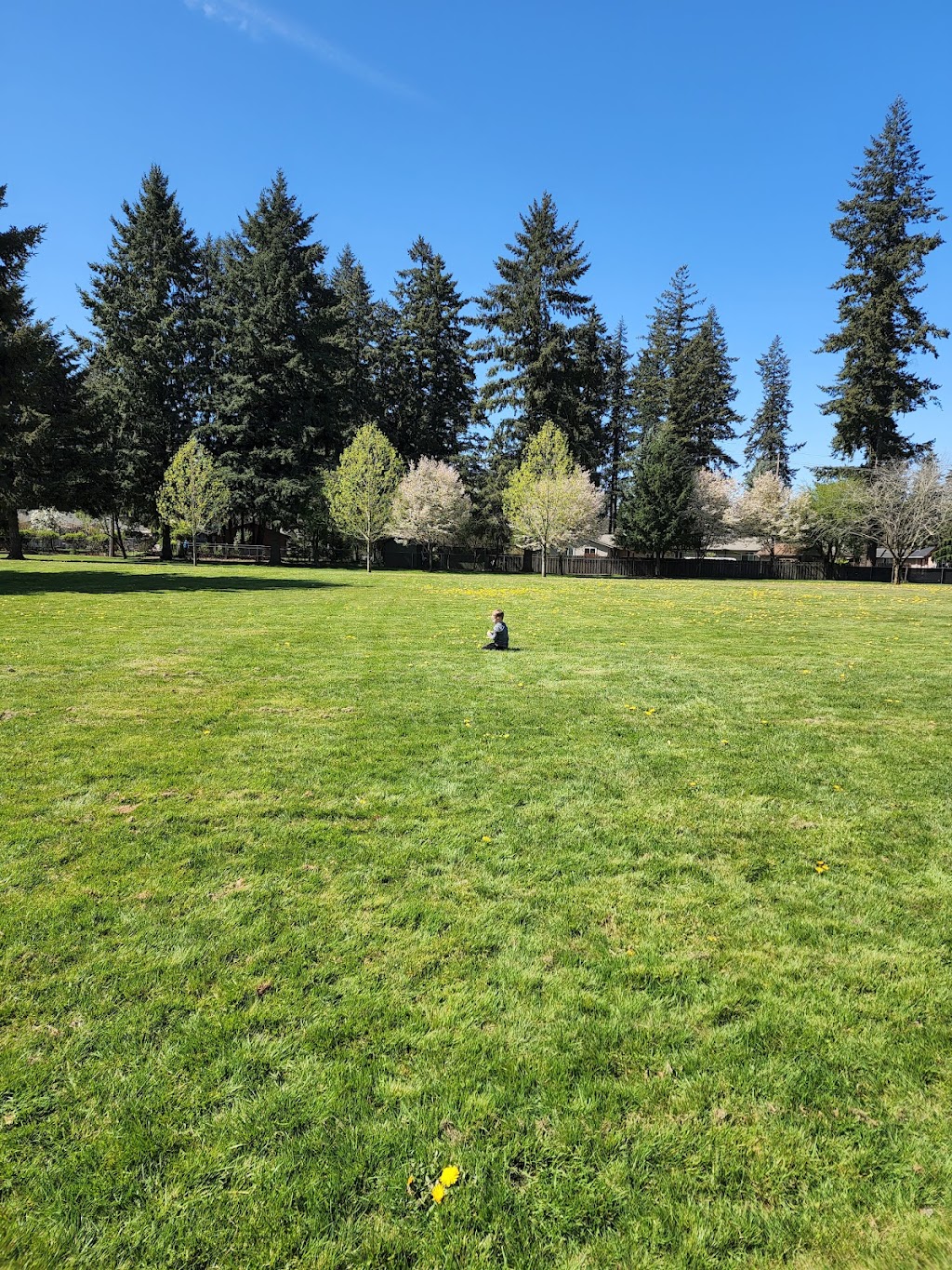 LeRoy Haagen Memorial Community Park | NE 9th St, Vancouver, WA 98684, USA | Phone: (360) 487-8311