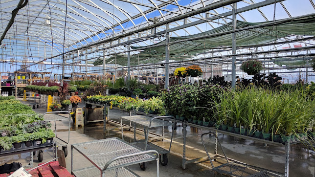 Barries Garden Centre | 375 Bayview Drive, Barrie, Ontario, L4N 8Y2 | Phone: (705) 730-1113