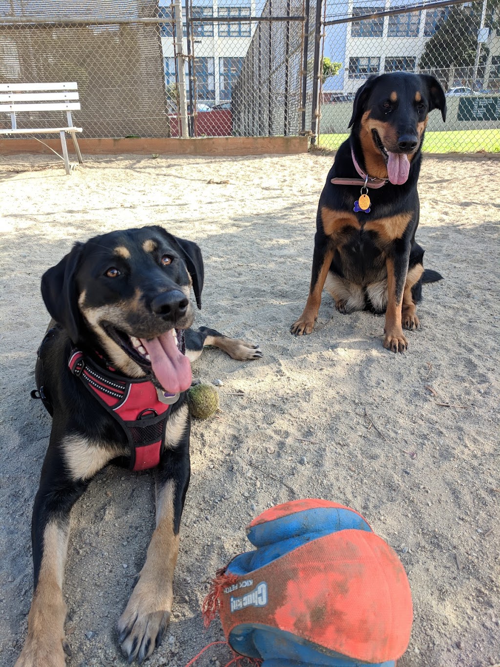 Rikki Streicher Field | 100 Collingwood St, San Francisco, CA 94114, USA | Phone: (415) 831-6810