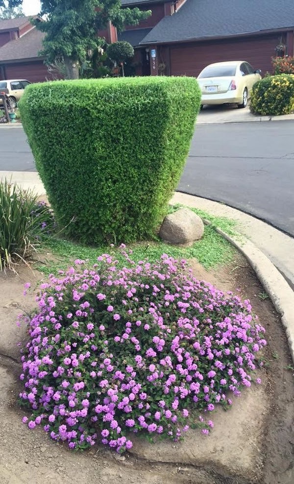 Rising Green Inc Tree & Landscaping | 6713 Hanford Armona Rd, Hanford, CA 93230, United States | Phone: (559) 410-3783