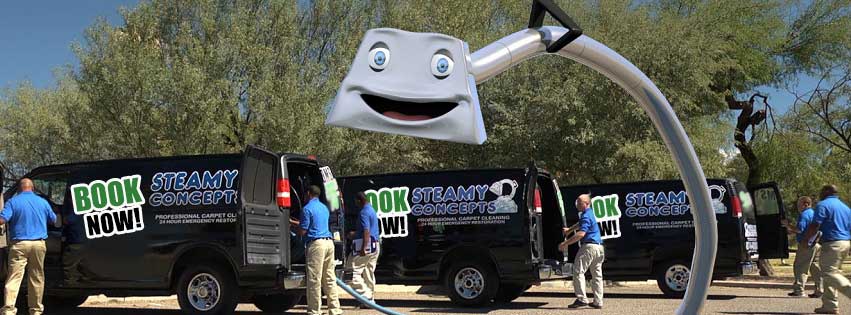 Steamy Concepts - North Tucson | 3216 W Liberty Tree Ln, Tucson, AZ 85741 | Phone: (520) 497-2272