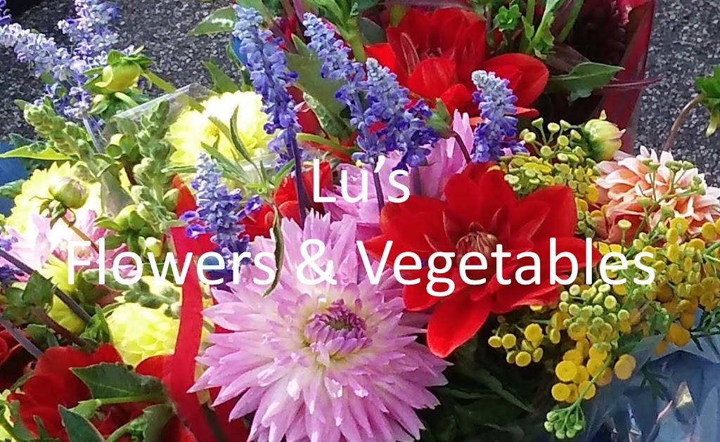 Lus Flowers & Vegetables | 2256 Rosedale Rd, Fremont, NE 68025, USA | Phone: (651) 808-7600