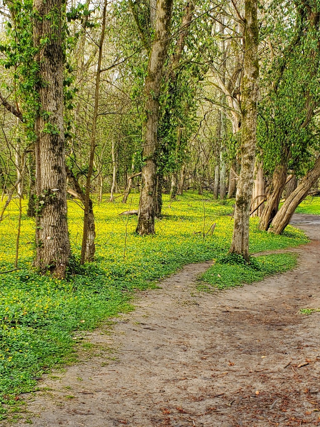 The Narrows Reserve Nature Center | 2575 Indian Ripple Rd, Xenia, OH 45385, USA | Phone: (937) 429-9590