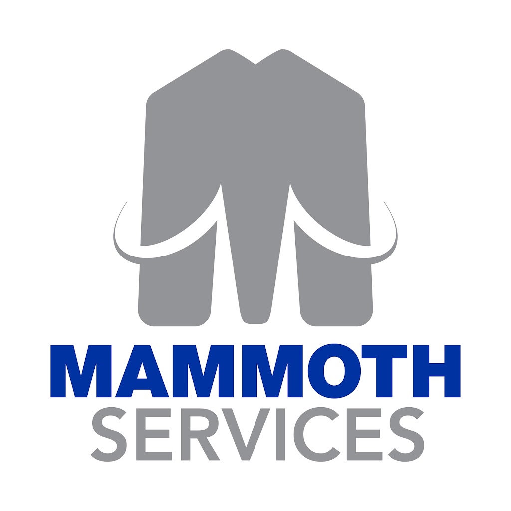 Mammoth Services | 1011 N Val Vista Dr #102, Gilbert, AZ 85234, USA | Phone: (480) 788-6615